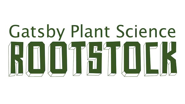 Rootstock logo copy